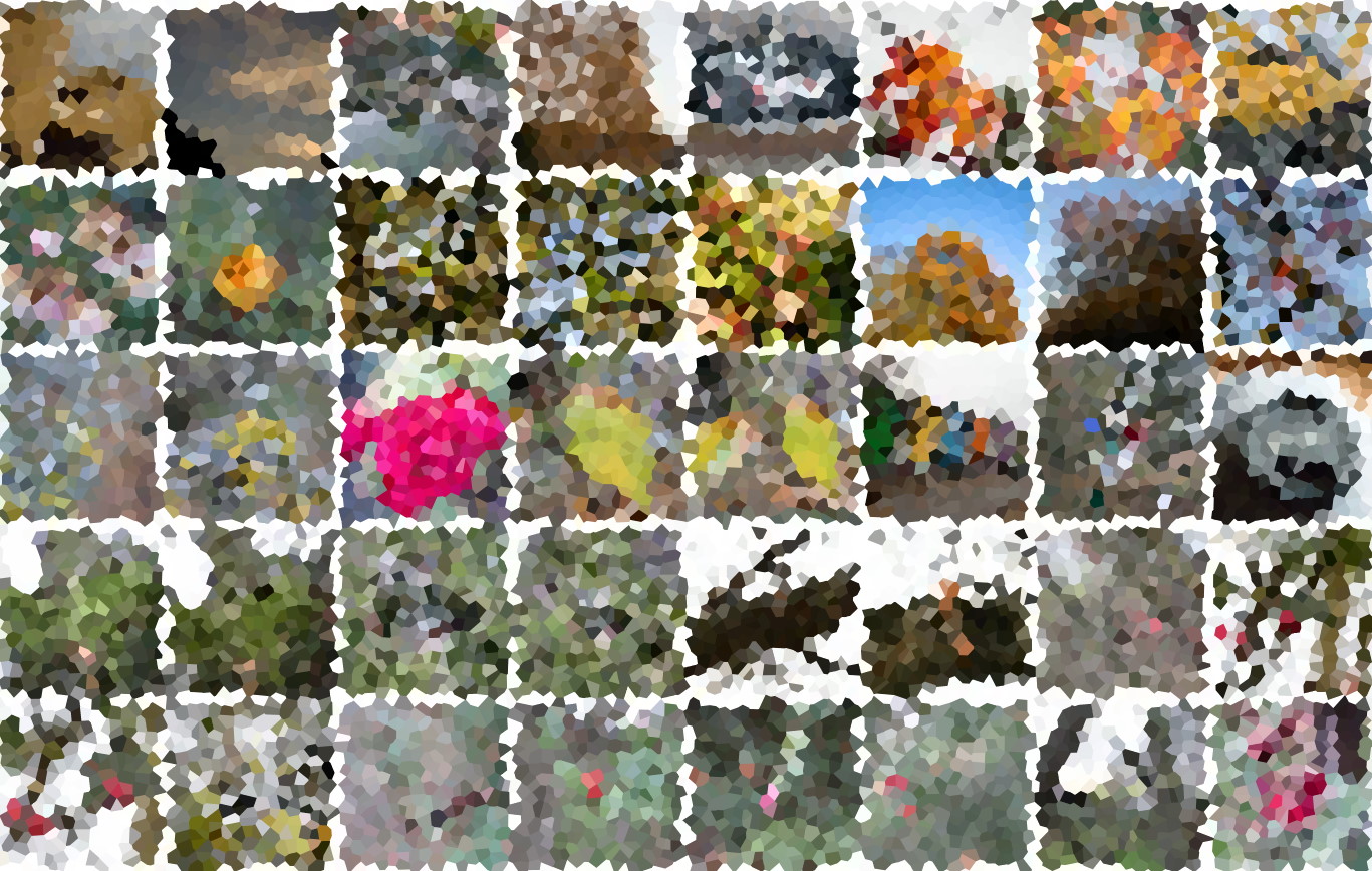 Hallo Welt, der neue Bilderblog als Nebenprojekt ist online.