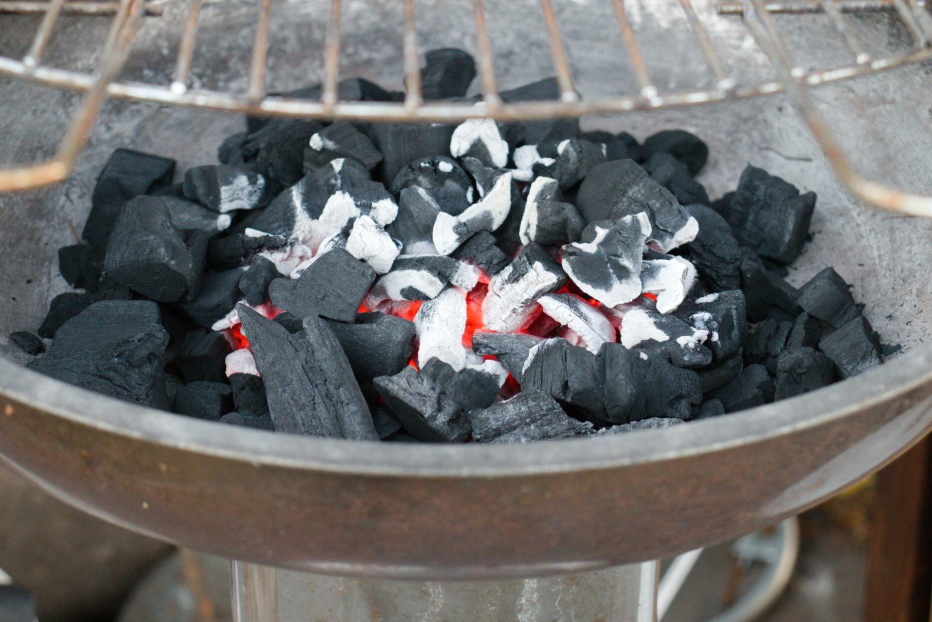 Die erste Makroaufnahme war ein vager Versuch.