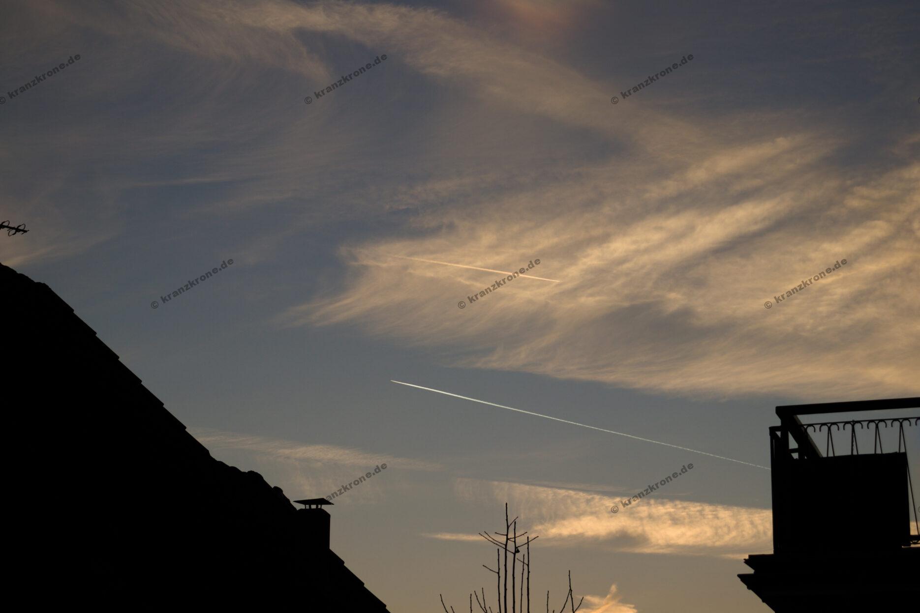 Ein kleines Experiment im Gegenlicht vom Himmel wurde das Zweite Foto.